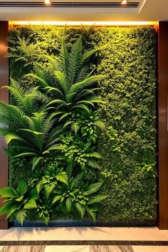 Vertical Gardens